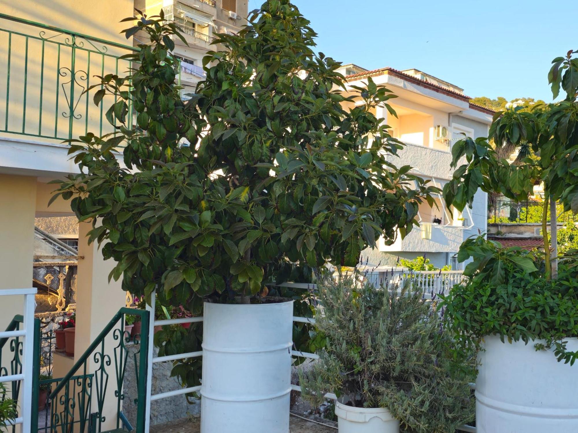 Joen Apartments ساراندا المظهر الخارجي الصورة