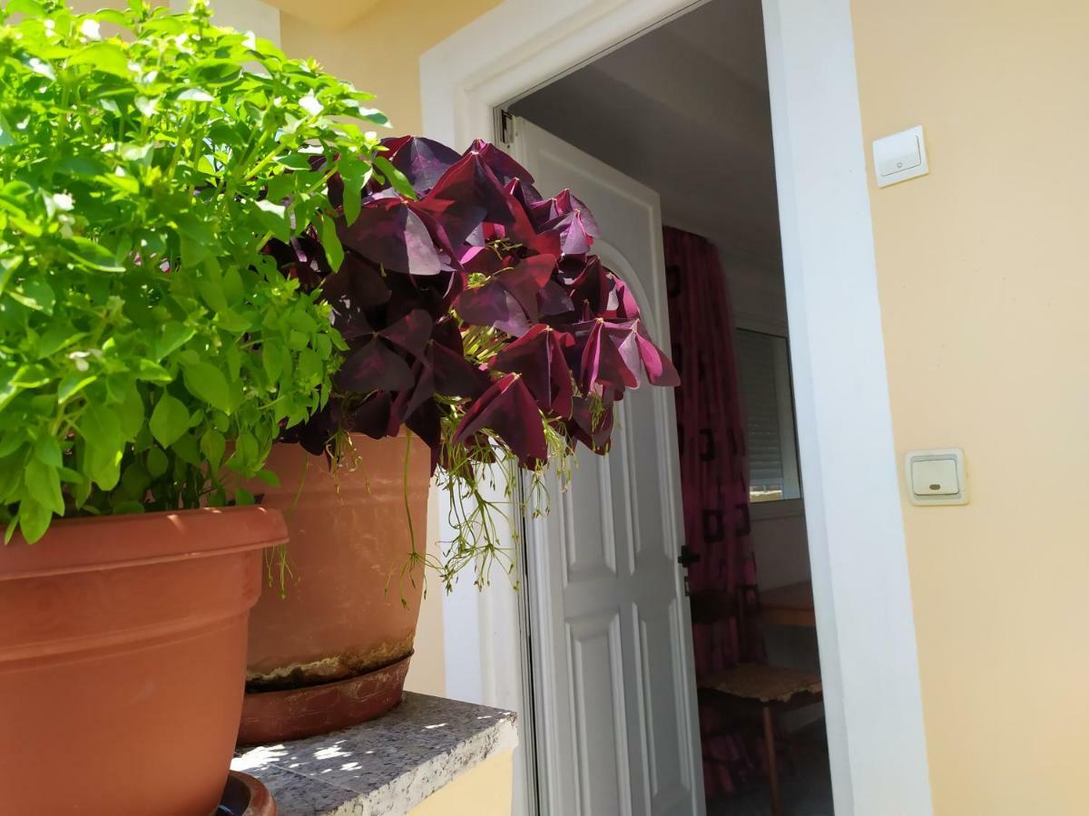 Joen Apartments ساراندا المظهر الخارجي الصورة